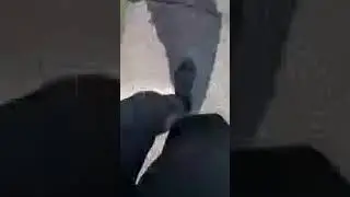 не пытайтесь сбежать из саргатки