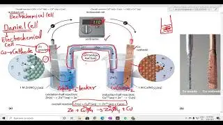 ELECTOCHEMICAL CELL IN SIMPLEST WAY
