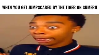 Genshin Impact Sumeru Slander