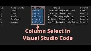 SELECT COLUMN OF TEXT IN VISUAL STUDIO CODE