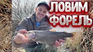 Форель на резину | Ловим форель на платнике