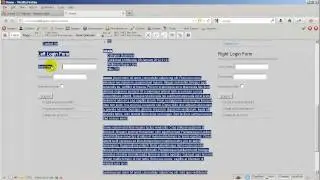 2-2:Label and Input Styles