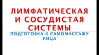 4  Подготовка к самомассажу лимфатической и сосудистой систем