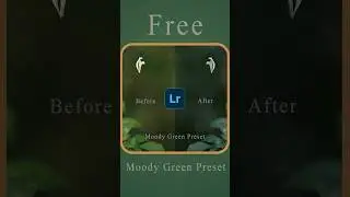 Free Cinematic Moody Green Lightroom Preset | Link in the description