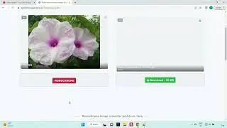 Make Monochrome images online  - imageonline.co