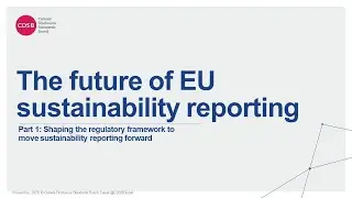 Part 1: Shaping the regulatory framework to move sustainability reporting forward