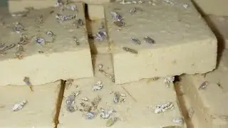 Яблочная пастила из папиных яблочек 