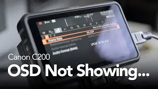 Canon C200 On Screen Display (OSD) Not Showing For External Monitor
