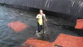 Pond Skim Fail