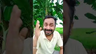 Ye kiya ho gaya 🤣 #shorts #funny #funnyshorts #yt