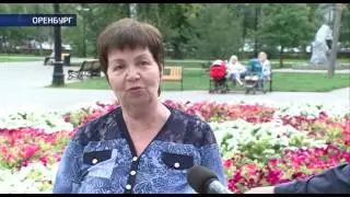 Явка на выборы