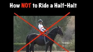 How NOT to Ride a Half-Halt