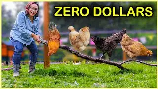 SAVE MONEY with these Fun & Healthy Chicken Ideas!