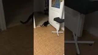 Собираем самолётик
