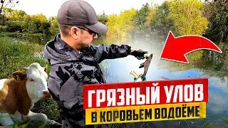 ГЯЗНЫЙ УЛОВ В КОРОВЬЕМ ВОДОЕМЕ!!!