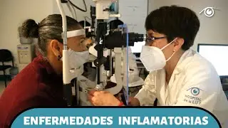 Departamento de Enfermedades Inflamatorias - 2023