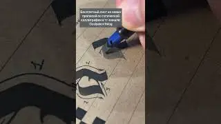 Бесплатные прописи по каллиграфии 🔥 tg:guslyakov1blog
