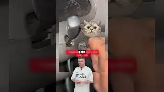 Его боится даже собственная машина!😄 (  @whistlesports Подписывайтесь )