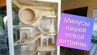 New chinchilla display case with wheel. Chinchilla house. Display case review.