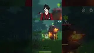 Can Kirara skill damage the big hillis with a shield | Genshin Impact