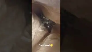 Зарплата пришла!😲💵