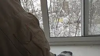 Прыжок с балкона