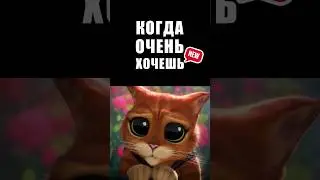 бл*, какая она красивая 😄 #CS:GO #csgo2023 #мемыcsgo #приколывиграх