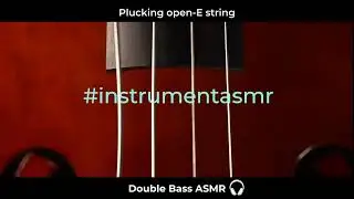 Double Bass ASMR