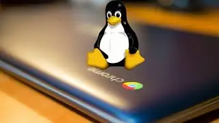 Linux on Chromebook | Linux app Store on Chromebook | Steps to get Linux apps | Beginner's guide