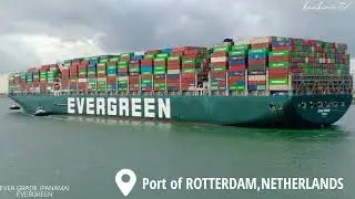 CONTAINER SHIP 
