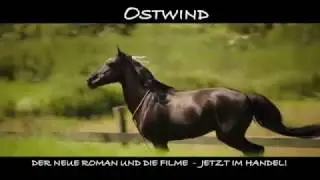 OSTWIND - Der neue Roman!