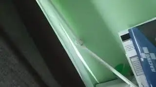 3 ноября 2020 г.