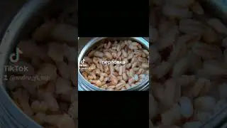 на что клюёт белый амур