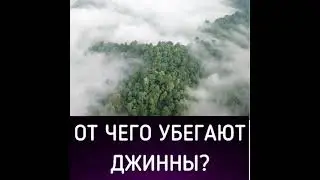 ОТ ЧЕГО УБЕГАЮТ ДЖИННЫ?