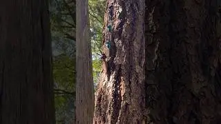 Who put that up there?