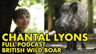 Britain's Wild Boar ft Chantal Lyons #145