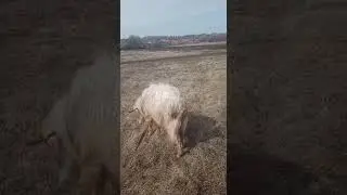 Когда