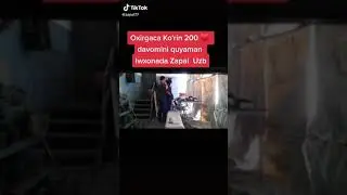 запал иш хона