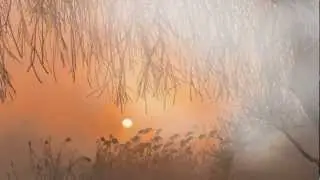 (HD 1080p) 