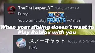 When your sibling doesn’t want to play Blox fruits with you (Discord)