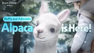 Everfrost's Fwuzzy Wuzzy Alpaca is Here!