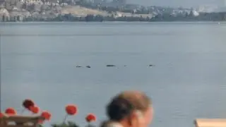 Monster of the Lake : Documentary on the Ogopogo Lake Monster (Full Documentary)