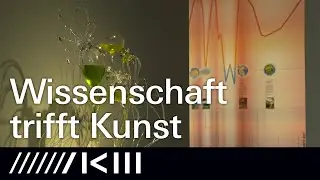 The Beauty of Early Life. Spuren frühen Lebens | Blick in die Ausstellung
