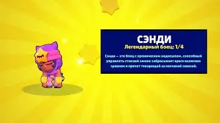 ТАКОЙ ЖЕСТИ ПОСЛЕ ОТКРЫТИЯ АКЦИЙ Я ЕЩЕ НЕ ВИДЕЛ В БРАВЛ СТАРС! BRAWL STARS