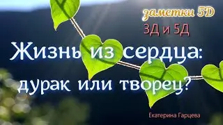 Заметки 5Д. 3Д и 5Д. Жизнь из сердца: дурак или творец?