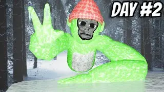 Scary Baboon: Exploring the Haunted Winter Forest