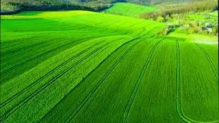 Beautiful relaxing music for stress relief - Relaxing music for spiritual healing & meditation-44