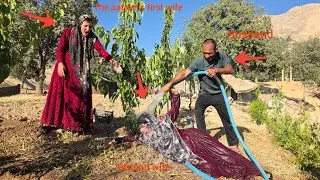 Husband's support for  sick first wife against  evil second wife, anger and attack on  second wife