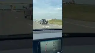 собака в кузове на 128км/ч