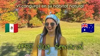 Visita a Mount Lofty | Avances de mi nueva etapa | Mi vida como manager